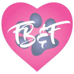 FurBabies & Friends Logo - A 5* Total Pet Care Company in Phoenix AZ