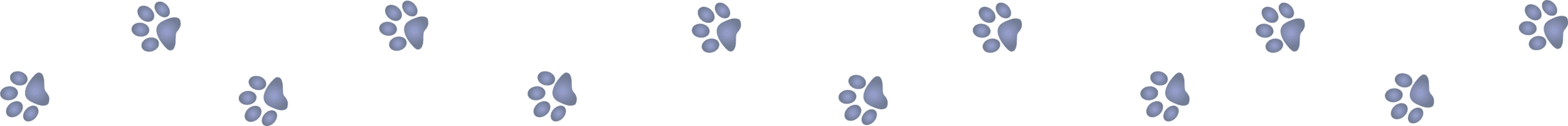 Paw Tracks