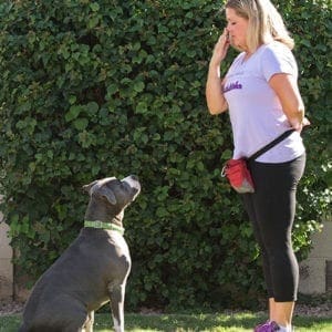 <a href='https://furbabiesandfriendsaz.com/force-free-dog-training-vs-e-collars/'>Top 5 Reasons Why Force-Free Dog Training Is Better</a>