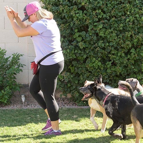 Kristie, a postive dog trainer with FurBabies & Friends cheering a pack of dogs on to follow her.