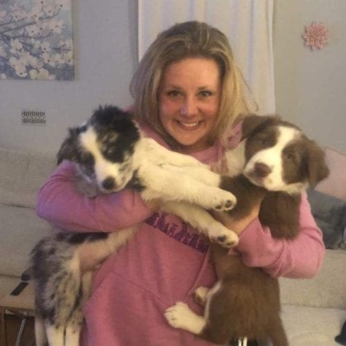 What is better than training one aussie puppy, how about two! Phoenix, AZ Kristie Halverson, a positive reinforcement puppy trainer, taking some time during an at home puppy training session to snuggle with two cue Australian Shepherd puppies in Phoenix, AZ.