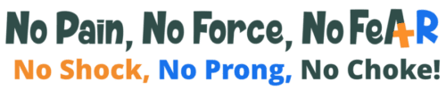A positive reinforcement dog trainer lives by the mantra of no pain, no force, and no fear.