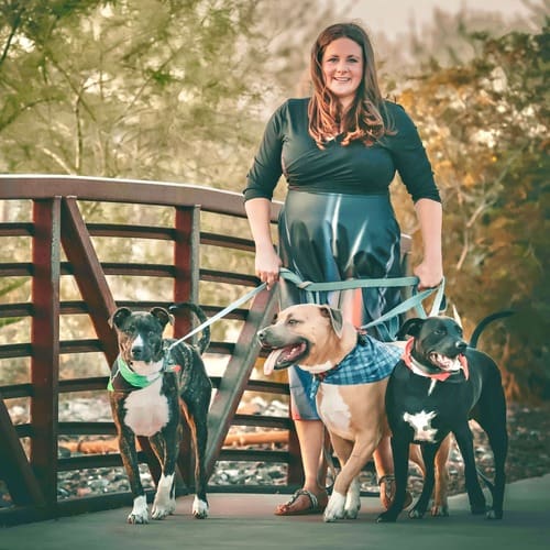 Kristie Halverson dog trainer in Glendale, AZ walker her three rescue dogs during a dog friendly photo shoot.