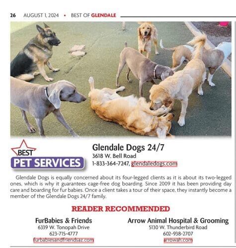 The Glendale Star 2024 Best of Glendale Pet Services listing showing FurBabies & Friends as Reader Recommended