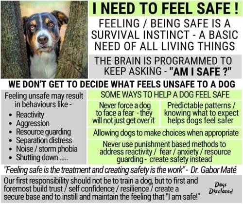 <a href='https://furbabiesandfriendsaz.com/dog-touch-desensitization-cooperative-care-glendale-az/'>Dog Touch Desensitization & Cooperative Care for Vet Visits and Grooming</a>
