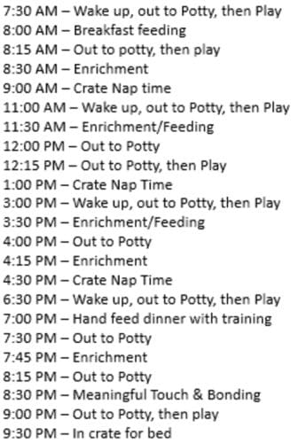 An example of a well rounded schedule and routine for when you bring your new puppy home.