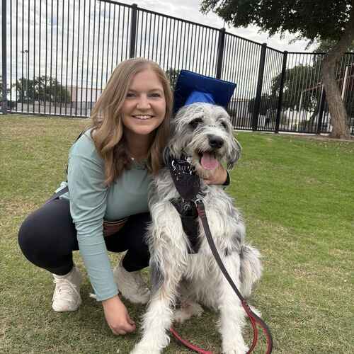 Oakley the Aussiedoodle smiling with owner for Beginning Obedience class graduation in Glendale AZ