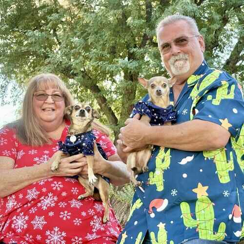 Husband and wife stand holding their two chihuahuas with scenic background during FurBabies & Friends Fall Family Photo Shoot in Glendale, AZ.