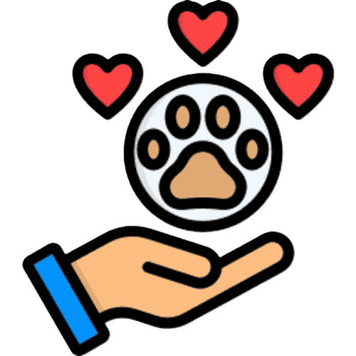 Hand holding a paw with hearts to demonstrate FurBabies & Friends pet care and handling experience.