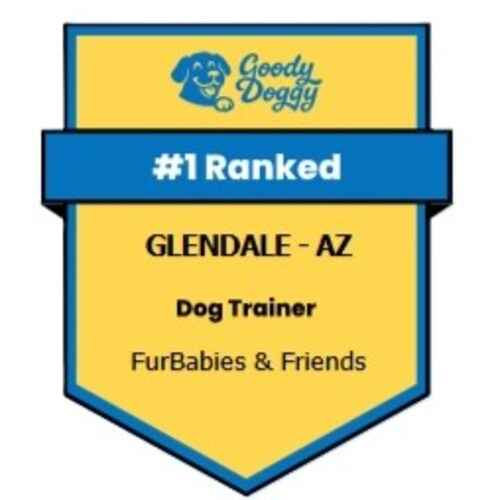 Goody Doggy listing recognizing FurBabies & Friends as the number 1 dog trainer in Glendale, AZ