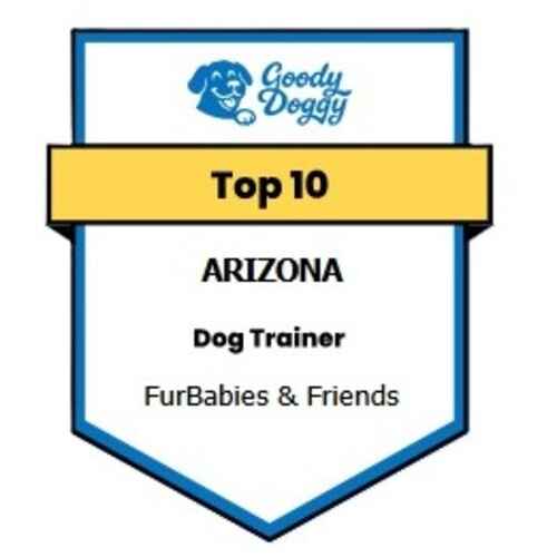 Goody Doggy listing recognizing FurBabies & Friends mong the top 10 dog trainers in Arizona