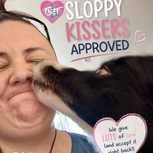 FurBabies & Friends pet sitter Vanessa receives sloppy kisses from a dog during an in-home pet-sitting visit.