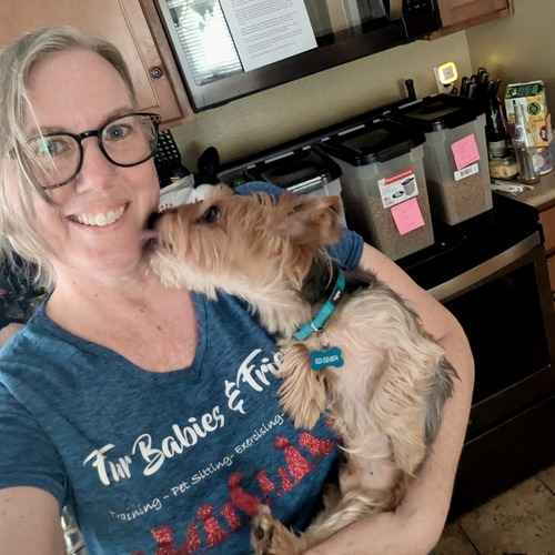 FurBabies and Friends sitter holding a small scruffy terrier.