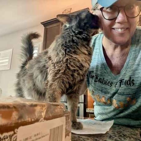 Pet sitter Karen, gets a kiss from a cat during an in home cat sitting visit in Peoria, AZ.