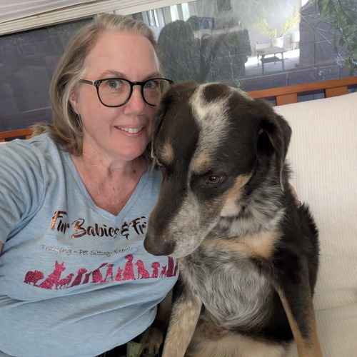 A FurBabies & Friends pet sitter sits beside a black, white, and tan dog during a drop-in pet-sitting visit.
