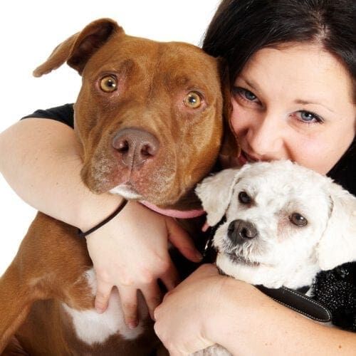 Kristie and her first two rescue dogs. Kristie Halverson, positive reinforcement dog training in Glendale, AZ, and her first two rescue dogs Nala and Stella.
