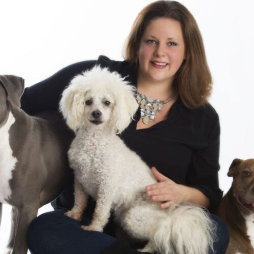 Positive reinforcement dog trainer, Kristie Halverson, the owner and found of FurBabies & Friends, and her 3 dogs during a professional family photo shoot.