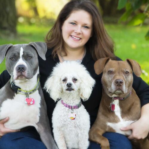 Peoria, AZ All 5 Star Complete Pet Care Service Provider FurBabies & Friends Owner and founder of FurBabies & Friends, a 5 star complete pet care service provider in Glendale, AZ and her 3 dogs during a professional family photo shoot.