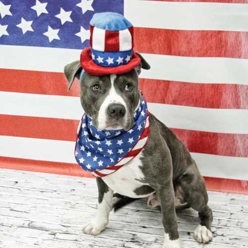 Contact Us Now for All of Your 24 Hour Pet Care Needs Contact Us Now for All of Your 24 Hour Pet Care Needs