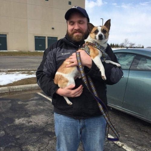 Corgi mix, Paco the taco, on his Gotcha Day with his new forever dad!