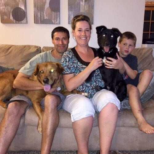 Black Lab mix Winston was all smiles on his Gotcha Day and he found his forever family.