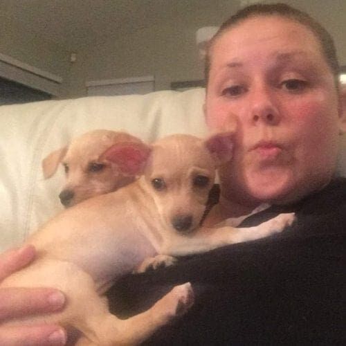 Kristie Halverson and her two very small foster dogs, Teenie and Tiny, who both fit in one hand on her chest.