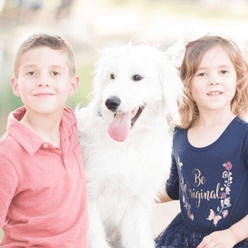 Furbabies & Friends 2022 Fall Family Photoshoot captured children and their Labradoodle, Henry, during professional cute family photos in Glendale, AZ.