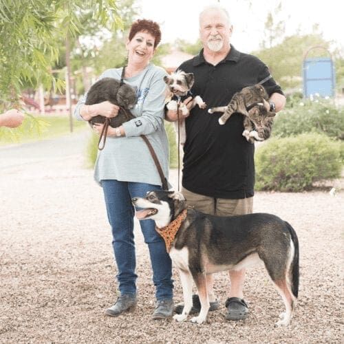 Furbabies & Friends 2022 Fall Family Photoshoot pet parents, their two dogs and two cats loved their professional family photo shoot in Glendale, AZ.