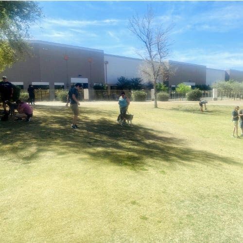 FurBabies & Friends group training class participants working on socialization and dog training cues in Glendale, AZ.