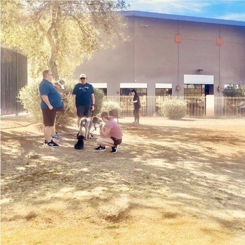FurBabies & Friends group training class participants working on socialization and dog training cues in Glendale, AZ.