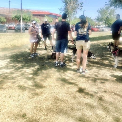 FurBabies & Friends group training class participants working on socialization and dog training cues in Glendale, AZ.