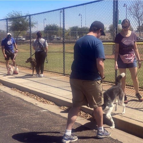 FurBabies & Friends offers group dog training as the benefits of group dog training classes provide real world situations and distractions improving your overall relationship, communication, and obedience with your dog.