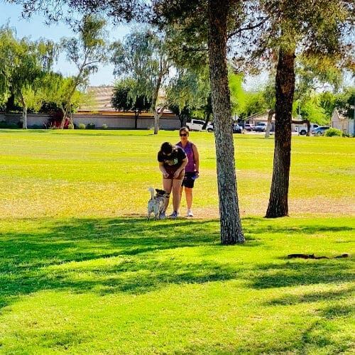 FurBabies & Friends group training class participants working on socialization and dog training cues in Glendale, AZ.