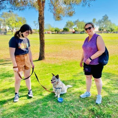 Rico the cattle dog mix, showing off a sit stay during Furbabies & Friends dog group obedience class in Glendale, AZ.