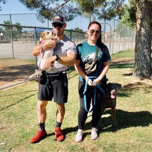 Shadow the silver lab and Daisy the small terrier celebrating their last group dog training class with FurBabies & Friends in Glendale, AZ.