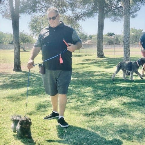 Zuko, the black Maltese puppy, during a FurBabies & Friends group dog training class in Glendale, AZ.