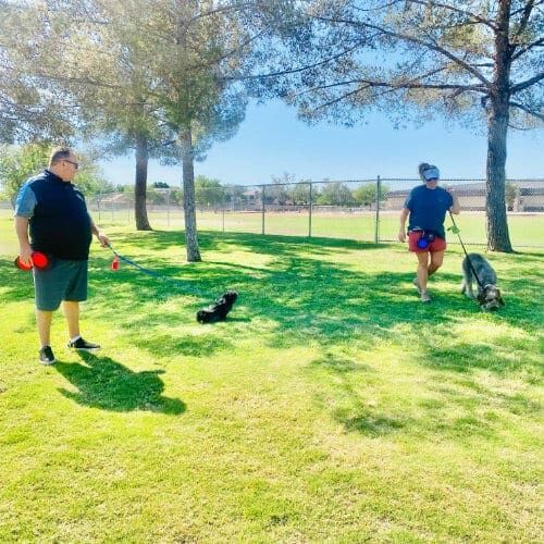 FurBabies & Friends group training class participants working on socialization and dog training cues in Glendale, AZ.