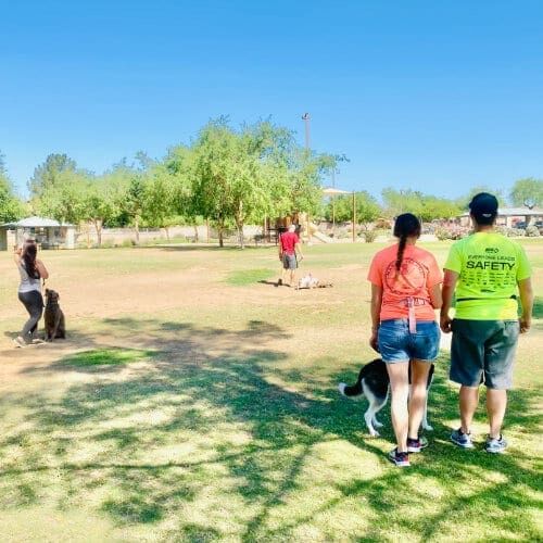 FurBabies & Friends uses games like around the world, a meet and greet game, to help dog practice good human and canine greeting etiquette.