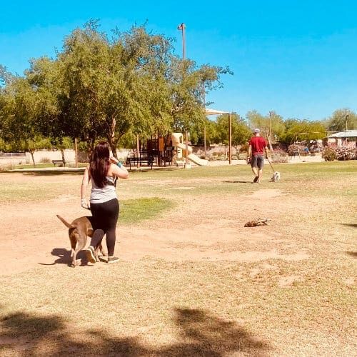 Furbabies & Friends dog group training classes are held in west valley parks for more real life experience and exposure helping pet parent put their training into everyday situations and use.