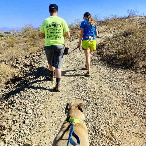 FurBabies & Friends group training class participants on a walk and train hike in Glendale, AZ.
