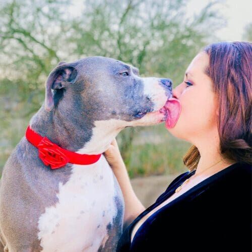 Positive reinforcement dog trainer, Kristie Halverson, owner of Furbabies & Friends and her grey XL bully Mix Baloo during a professional pet photography session.