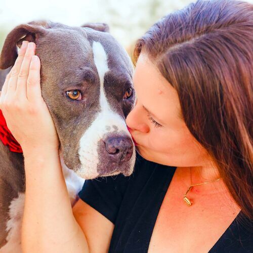 Positive reinforcement dog trainer, Kristie Halverson, owner of Furbabies & Friends and her grey XL bully Mix Baloo during a professional pet photography session.