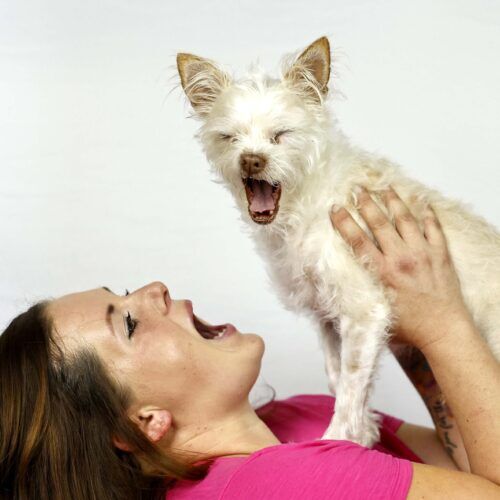 Positive reinforcement dog trainer, Kristie Halverson, owner of Furbabies & Friends and her white terrier mix Zeke during a professional pet photography session in Glendale, AZ.