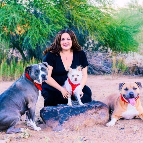 Positive reinforcement dog trainer, Kristie Halverson, owner of Furbabies & Friends and her 3 dogs during a professional family photo shoot in Glendale, AZ.