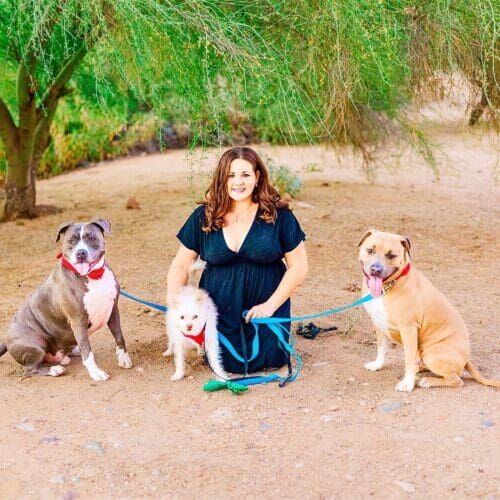 Positive reinforcement dog trainer, Kristie Halverson, owner of Furbabies & Friends and her 3 dogs during a professional family photo shoot in Glendale, AZ.