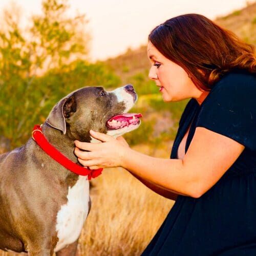 Positive reinforcement dog trainer, Kristie Halverson, owner of Furbabies & Friends and her grey XL bully Mix Baloo during a professional pet photography session.