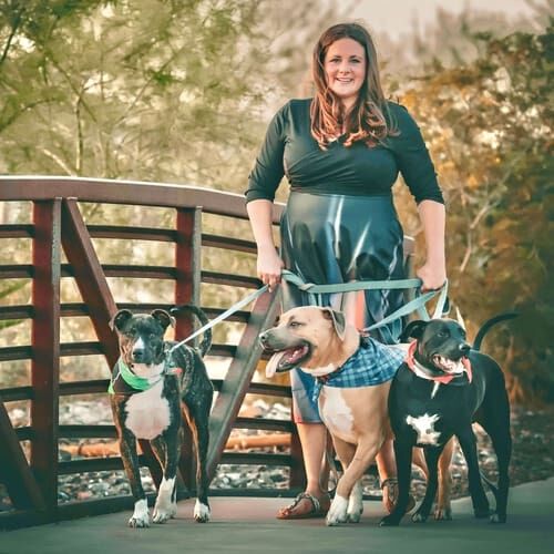 Glendale, AZ force free puppy trainer, Kristie Halverson, and her three bully mix furbabies. Glendale, AZ force free puppy trainer, Kristie Halverson, and her three bully mix furbabies.
