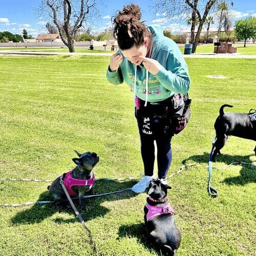 Positive reinforcement puppy trainer, Kristie Halverson, with FurBabies & Friends training two puppies during an AKC S.T.A.R. Puppy group training class.