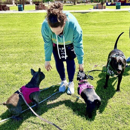 FurBabies & Friends dog trainer, Kristie, helping three dogs during an obedience class group training in Glendale, AZ.