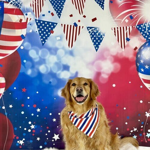 Seasonal mini pet photoshoot for dogs in Glendale Arizona